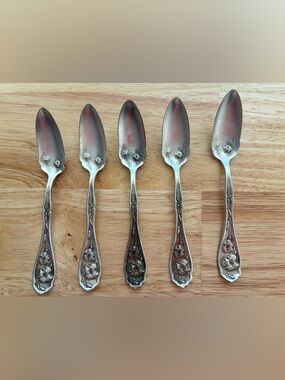 Rare Vintage WR 1908 Carnation Pattern 6” Grapefruit Spoons (Set of 5)